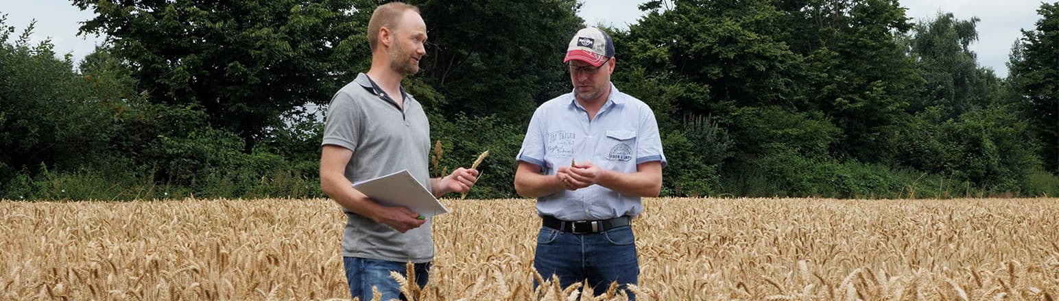 Josef Wübbels im Gespräch mit einem Landwirt im Getreidefeld